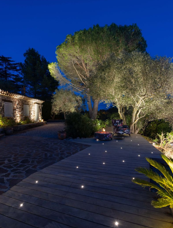 Garden pathway with outdoor lighting and trees at night