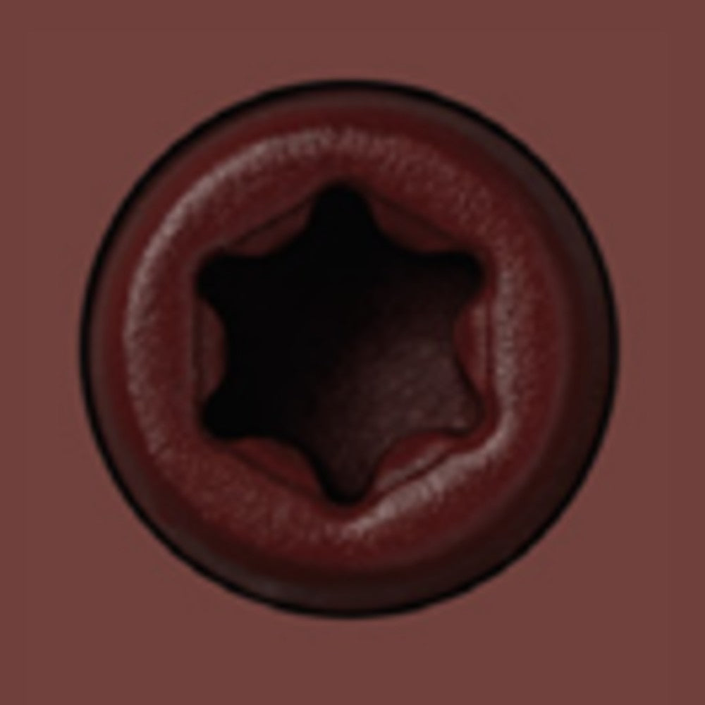Starborn CAP-TOR xd 316SS Color-Match Screw for Trex Decking