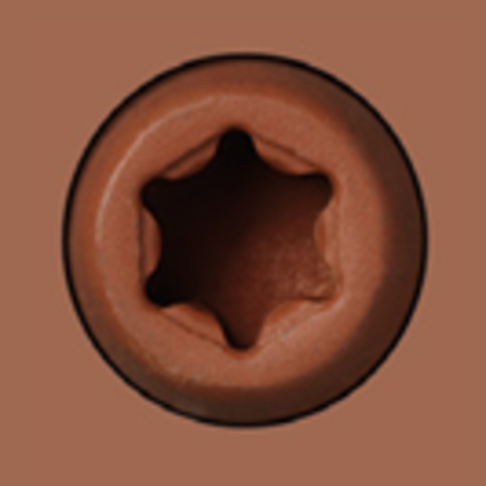 Starborn CAP-TOR xd 316SS Color-Match Screw for Trex Decking