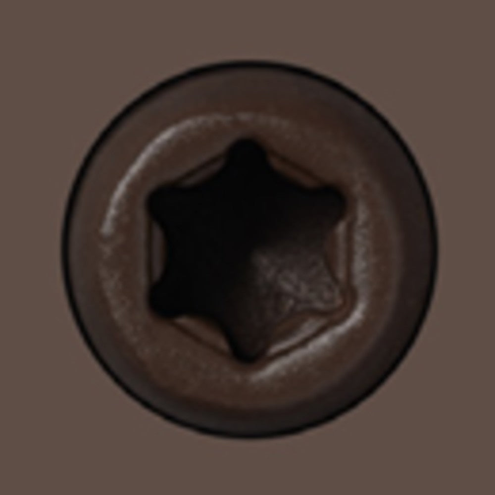 Starborn CAP-TOR xd 316SS Color-Match Screw for Trex Decking