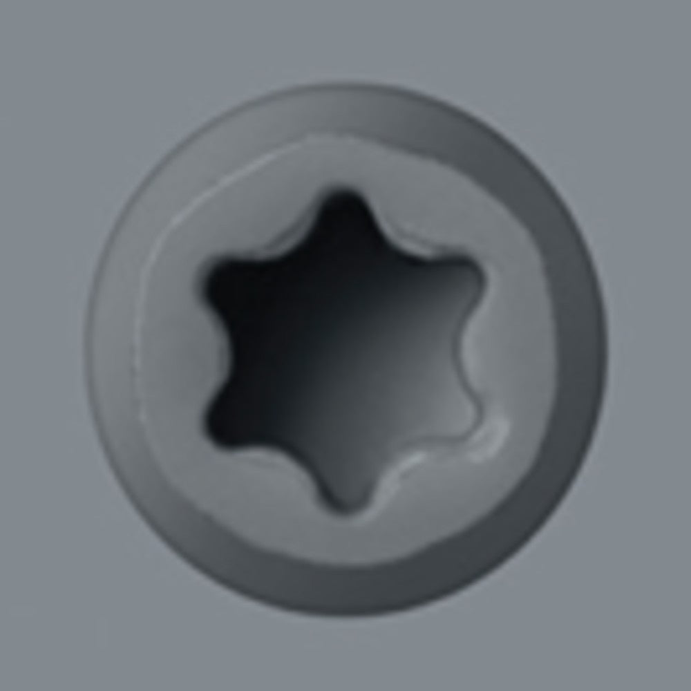Starborn CAP-TOR xd 316SS Color-Match Screw for Trex Decking