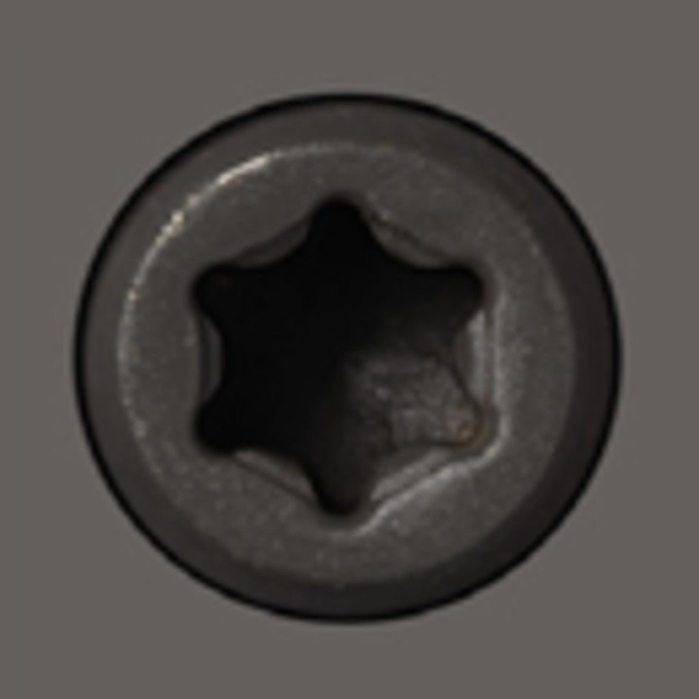 Starborn CAP-TOR xd 316SS Color-Match Screw for Trex Decking