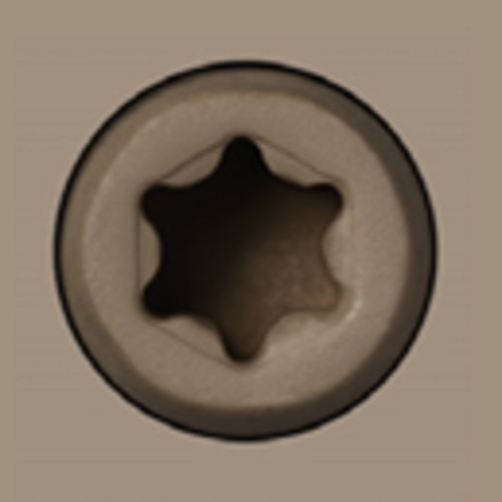 Starborn CAP-TOR xd 316SS Color-Match Screw for Trex Decking